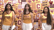 Wten GIF by CUCougars
