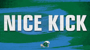 Football Ryan GIF by GreenWave