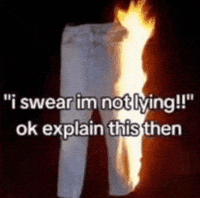 Liar Liar Pants On Fire GIF