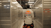 formula 1 danny ricciardo GIF by Red Bull Racing