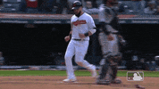 major league baseball 2019 mlb regular season GIF by MLB