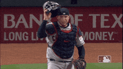 major league baseball 2019 mlb regular season GIF by MLB