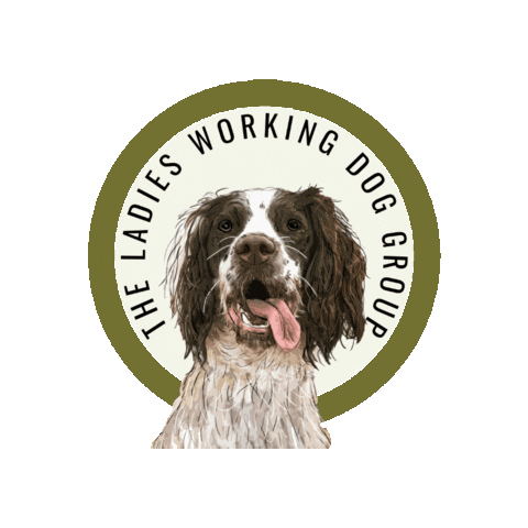 thelwdg giphygifmaker spaniel gundog huntingdog Sticker