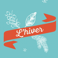 loicternisien hiver saison naturopathie loicternisien GIF