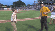 the office dwight GIF by Kane County Cougars
