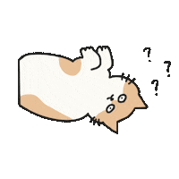 Cat Question Sticker