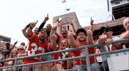 Ohio State Fans GIF by Ohio State Athletics