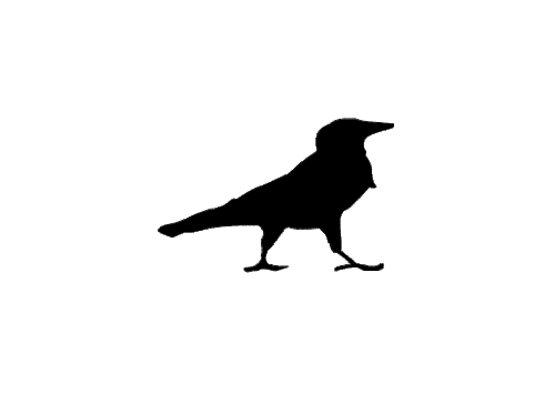 Crow Sticker