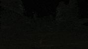 Rats Dungeon GIF by Resolution Games