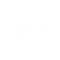 tropical-animals tropical tropical animals tropical firenze Sticker