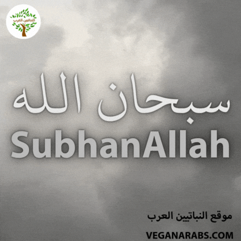 Islam Arabic Language GIF by VeganArabs