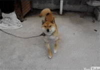 dancer GIF