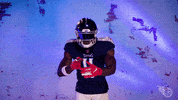 Celebrate Make It Rain GIF by Tennessee Titans