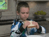 National Sandwich Day GIF