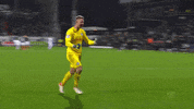 Ksvgif GIF by Holstein Kiel