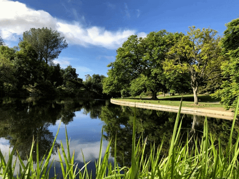 s1cn1c giphyupload background virtual lake GIF
