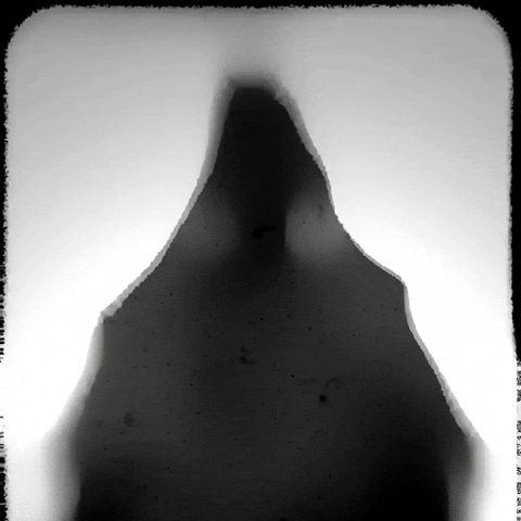 Halloween Monsters GIF by PBS Digital Studios