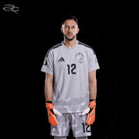 Fifa World Cup Colombia GIF by Respective
