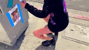GIF by Magdalena Bay