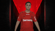 Bayer Leverkusen Celebration GIF by Bundesliga