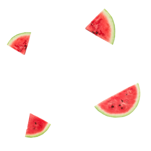 Watermelon Summerdrink Sticker by Ty Ling