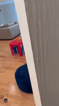 Independent Toddler Hilariously Let's Dad Know She Needs Her 'Privacy'