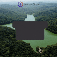 Travel Speak GIF by Learner Circle