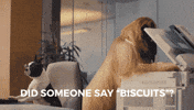 Cookies Waffle GIF by Jules Destrooper Biscuiterie