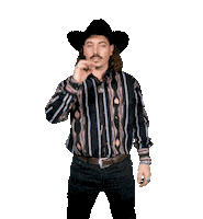 Country Music Nbc Sticker by Ryan Charles