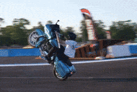 Harley Cboys GIF