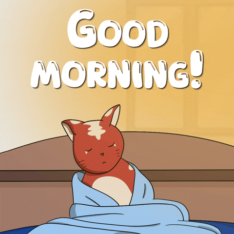 Cat Love GIF by Kitaro World
