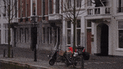 Red Bull F1 GIF by Red Bull Racing