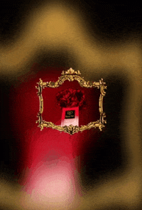 Reemprive brand perfume uae ksa GIF