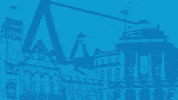 Football Cfc GIF by ChemnitzerFC