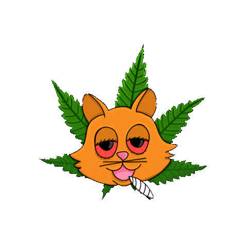 kannabis_kat giphygifmaker cat cartoon trippy Sticker