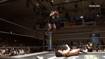 shooting star wrestling GIF by THE WRESTLERS