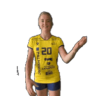 Schwerinersc Sticker by SSCPalmbergSchwerin