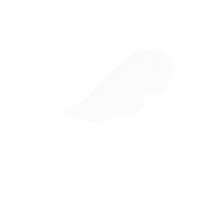 Bird Angel Sticker