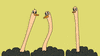 comedy central ostrich GIF by CsaK