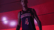 Arizona Wildcats GIF by Arizona Men's Basketball