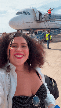 Travel Flight GIF