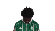 Werder Bremen Adeh Sticker by Bundesliga