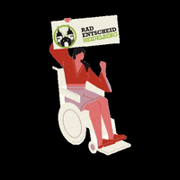 Frau Rollstuhl GIF by Radentscheid Heidelberg