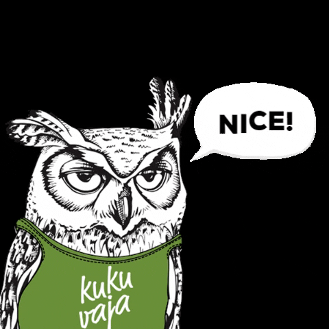 Kukuvaja giphygifmaker giphyattribution nice owl GIF