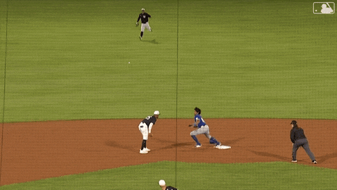 Blue Jays Running GIF by Toronto Blue Jays