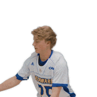 ncaa sports fun Sticker by Delaware Blue Hens