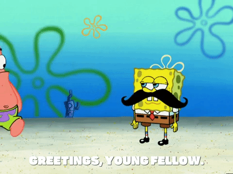season 4 the pink purloiner GIF by SpongeBob SquarePants