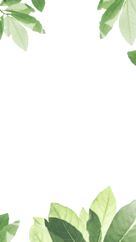 Effects Sustainability Sticker by TEXSIB