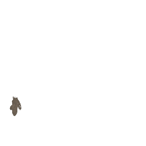 Cycle Arrows Sticker
