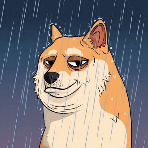 Raining Shiba Inu GIF by Doge Pound